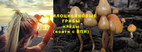 индика Алексин