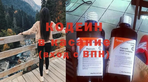 индика Алексин