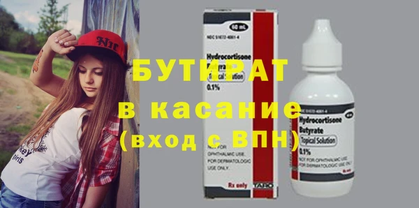 индика Алексин