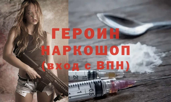 индика Алексин