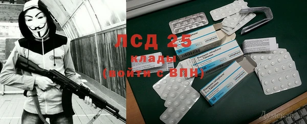 индика Алексин