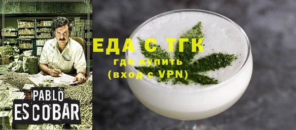 индика Алексин