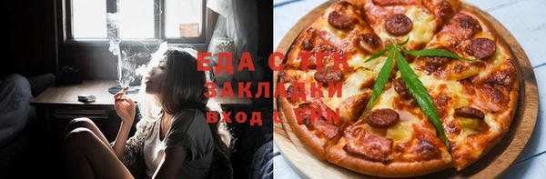 индика Алексин
